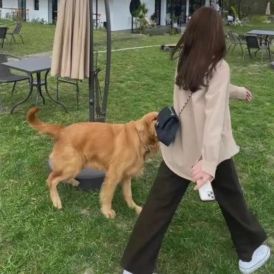 我的单板女孩第一季